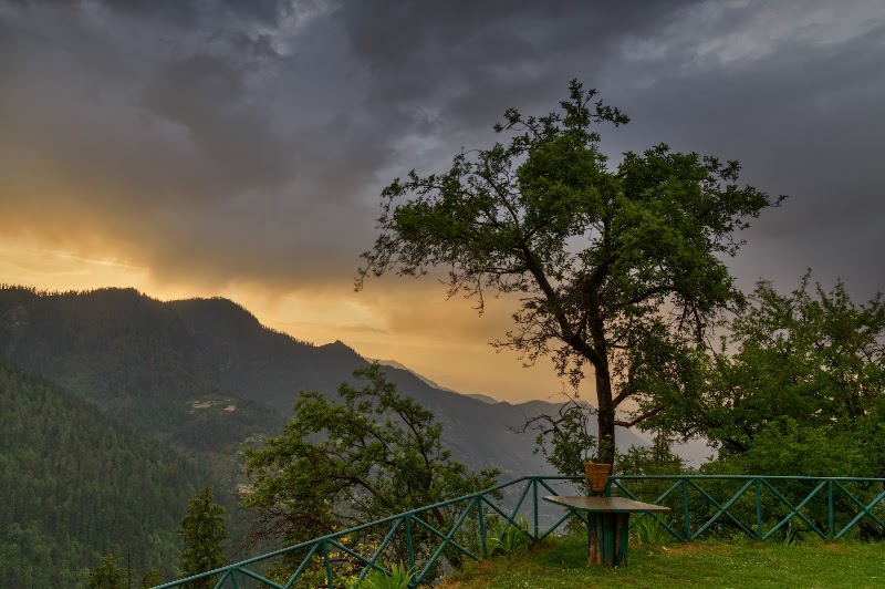 Banjara Village Retreat at Sojha - Banjara Village Retreat at Sojha, SH11, Shoja, Himachal Pradesh 175123, India