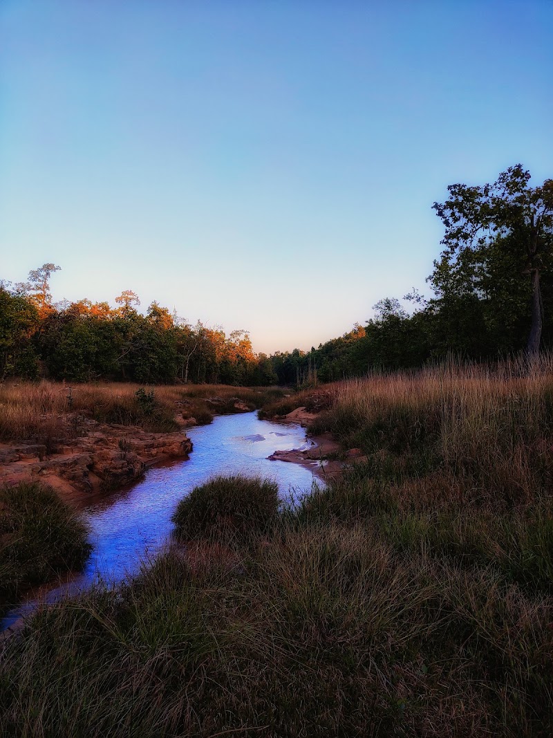 Sanjay National Park - Sanjay National Park, Belgaon, Madhya Pradesh 486669, India