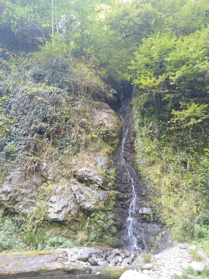 Black Grouse Waterfall - Black Grouse Waterfall, V8G3+2M7, Lagodekhi, Georgia