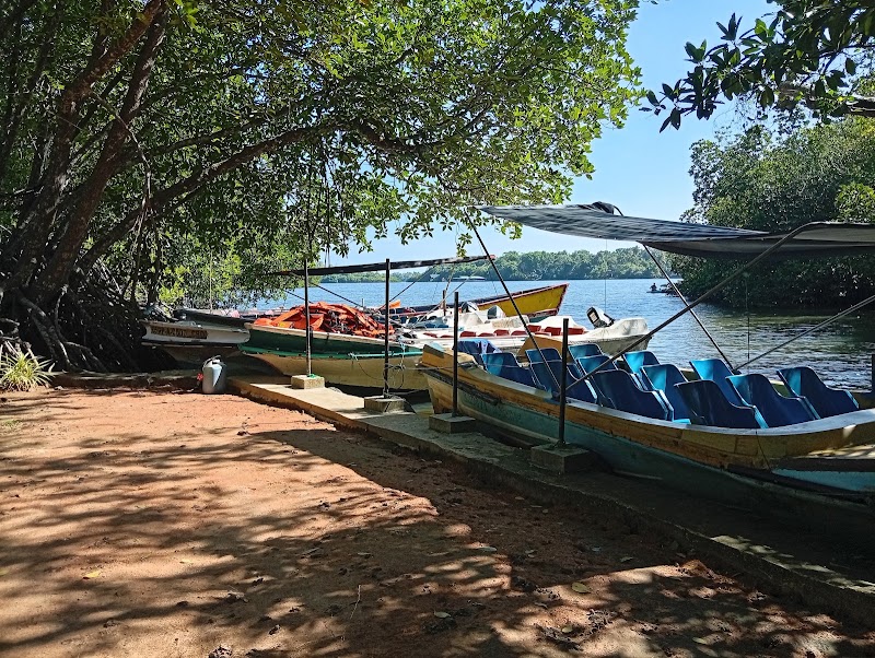 Madu Ganga Boat Safari - Madu Ganga Boat Safari, Keheli Wadaduwa, road, Balapitiya 80550, Sri Lanka