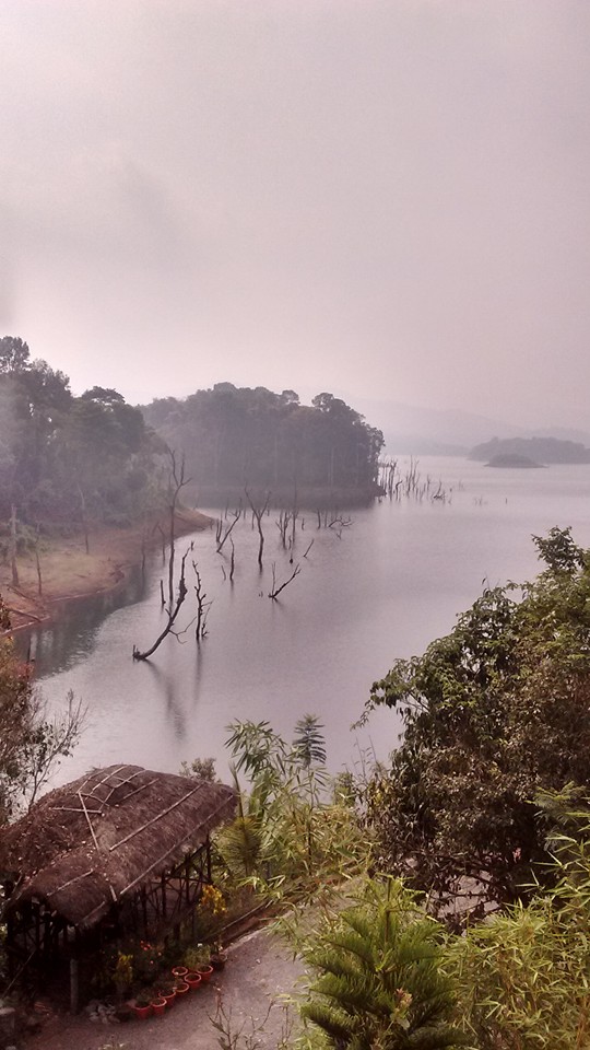 Wayanad Wildlife Santuray - Wayanad Wildlife Santuray W23F+GRQ, Thirunelly Rd, Kerala 670646, India