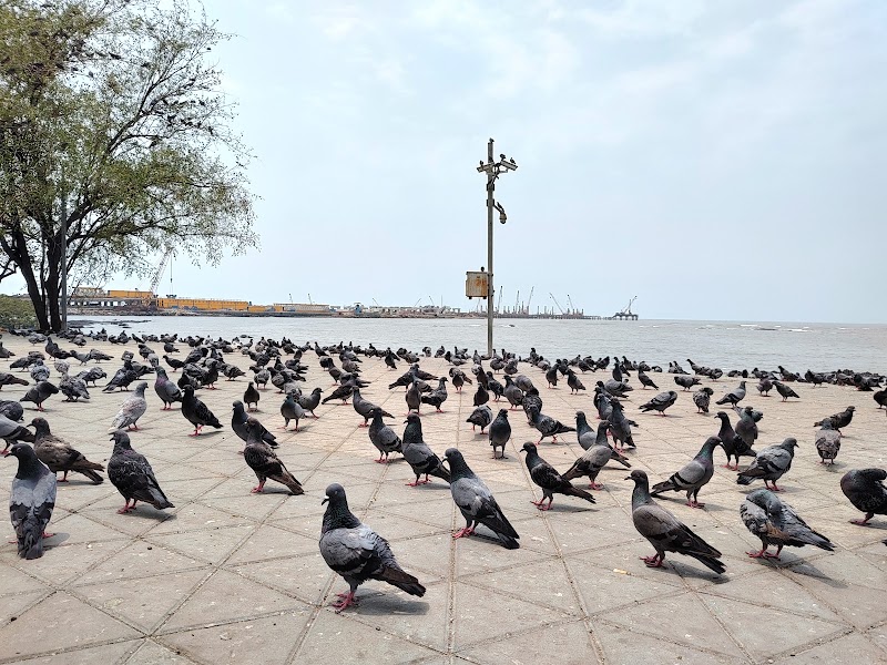 Carter Road - Carter Road, Carter Rd, Bandra West, Mumbai, Maharashtra 400050, India