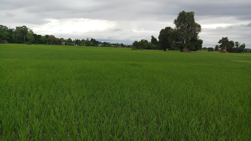 Si Phan Don - Si Phan Don, 2RWM+R37, Thaphao, Laos