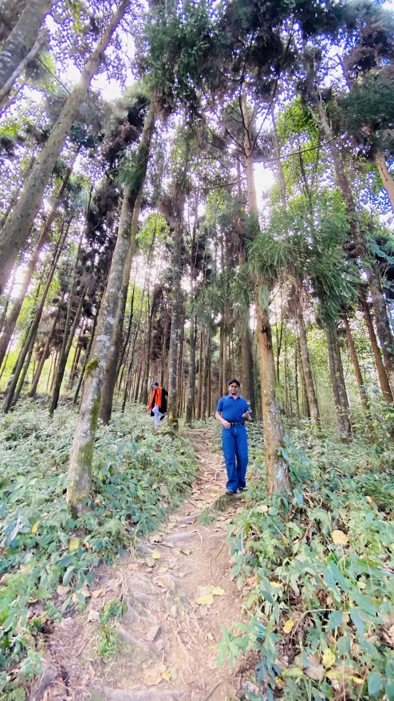 Blone homestay - Blone homestay Soreng Khasmahal Bardara near Primary school Ward no.04, P.O Bardara, P.S, Rangli Ranglot Tea Garden, Soriang Khasmahal, West Bengal 734312, India