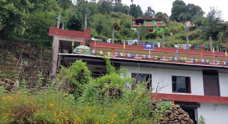 Homestay - Homestay, 16, po, Sarmoli, Munsyari, Uttarakhand 262554, India
