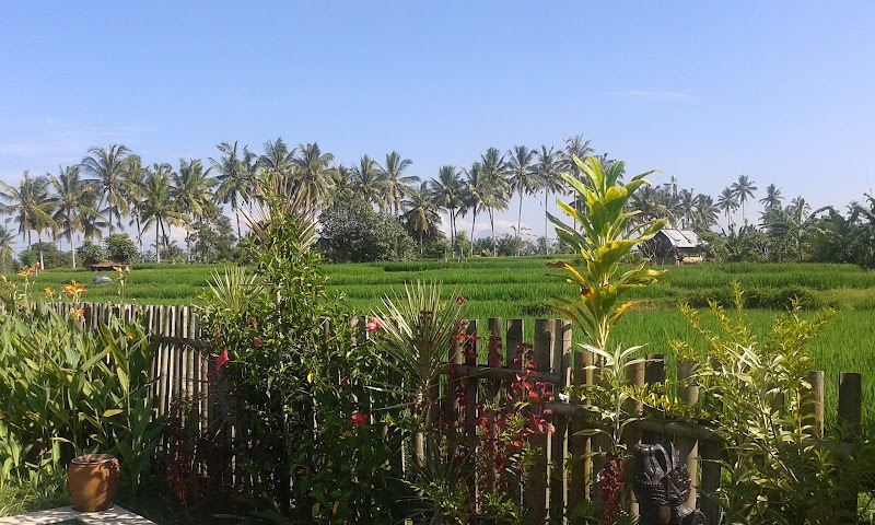 Buddha Home Stay - Buddha Home Stay, Jalan Sokwayah, Ubud, Kecamatan Ubud, 80571 Ubud, Bali 80571, Indonesia