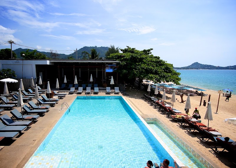 The Hive Hotel - The Hive Hotel 124/264, Moo 3, Maret, Lamai Beach, ตำบล มะเร็ต อำเภอเกาะสมุย สุราษฎร์ธานี 84310, Thailand