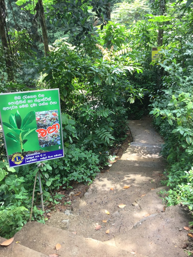 Kumari Ella - Kumari Ella, No 200/13/5 Ferriby Estate, Sirisanda Estate, Avissawella 10712, Sri Lanka