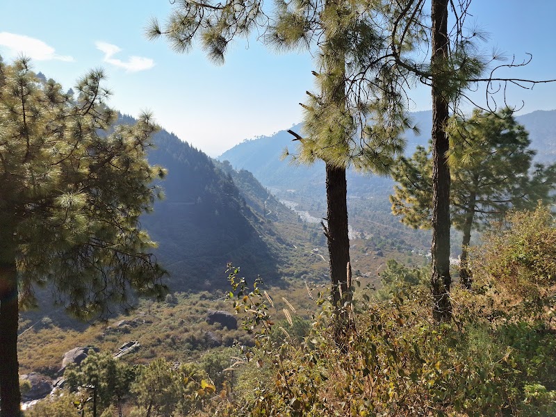 Sunset Point - Sunset Point, 5G2W+RJC, Vindhyavahsni, Palampur, Shamlat Deh, Himachal Pradesh 176061, India