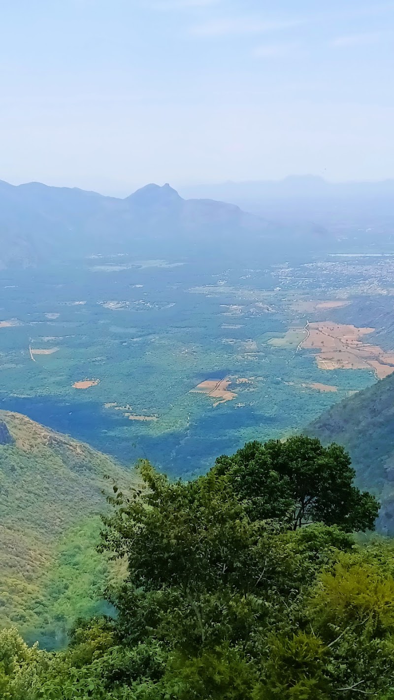 Suryanelli Kolukkumalai Road - Suryanelli Kolukkumalai Road 27C5+WC, Bodi Hill North, Tamil Nadu 685618, India