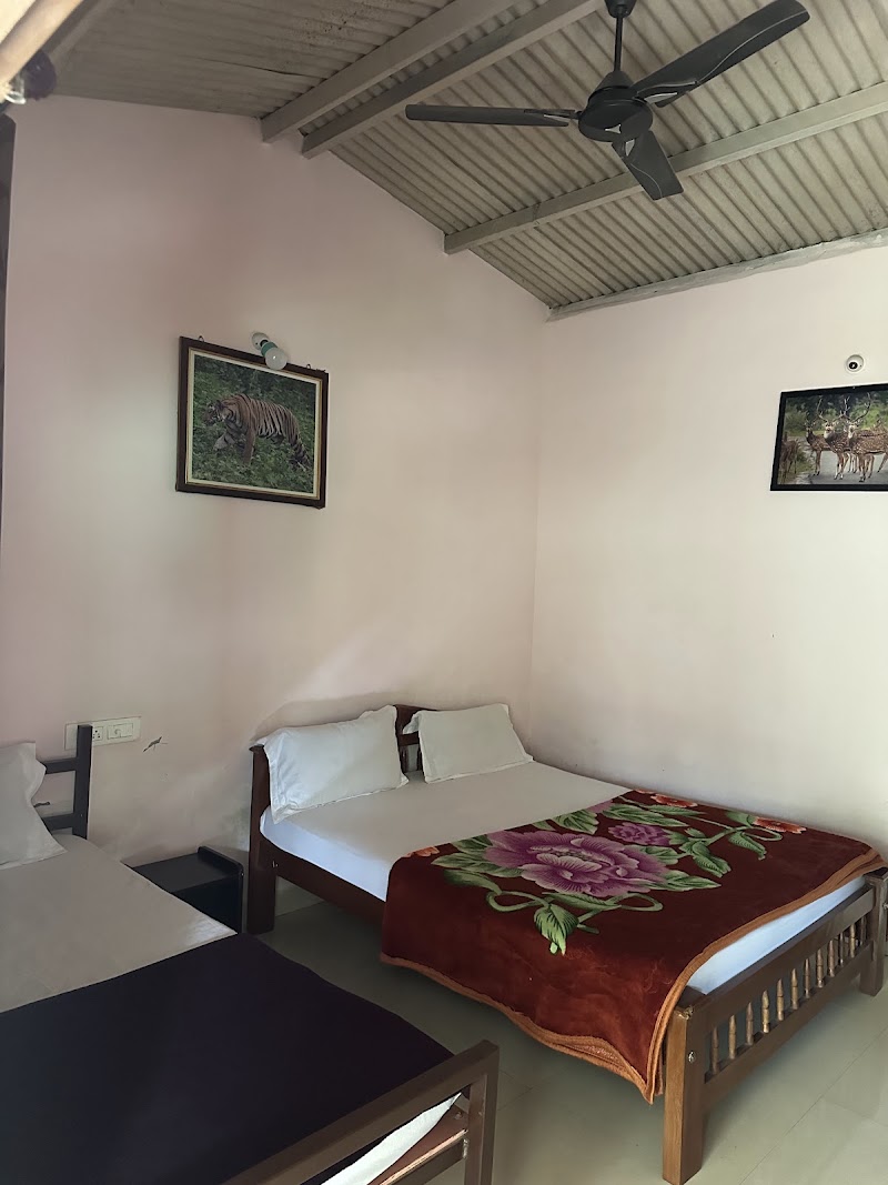 The Big Cat's Den - Maravakandy Resort, Masinagudi - The Big Cat's Den - Maravakandy Resort, Masinagudi behind Govt Silk farm, Masinagudi, Tamil Nadu 643223, India