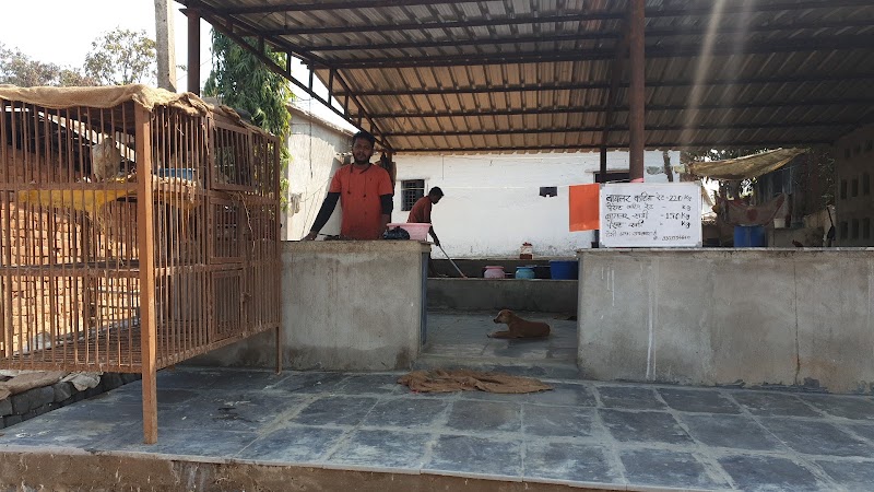 Alishba Chicken Shop - Alishba Chicken Shop Bhanupratappur Antagarh Rd, Bhanupratappur, Chhattisgarh 494669, India