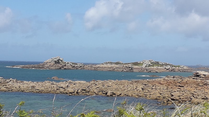 Lande de Bringwiller - Lande de Bringwiller, 51 Rte de Bringuiller, 22560 Trégastel, France