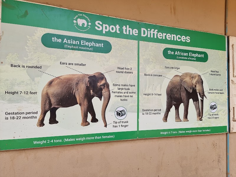 Elephant Nature Park - Elephant Nature Park ชม.3052 Tambon Kuet Chang, Amphoe Mae Taeng, Chang Wat Chiang Mai 50150, Thailand