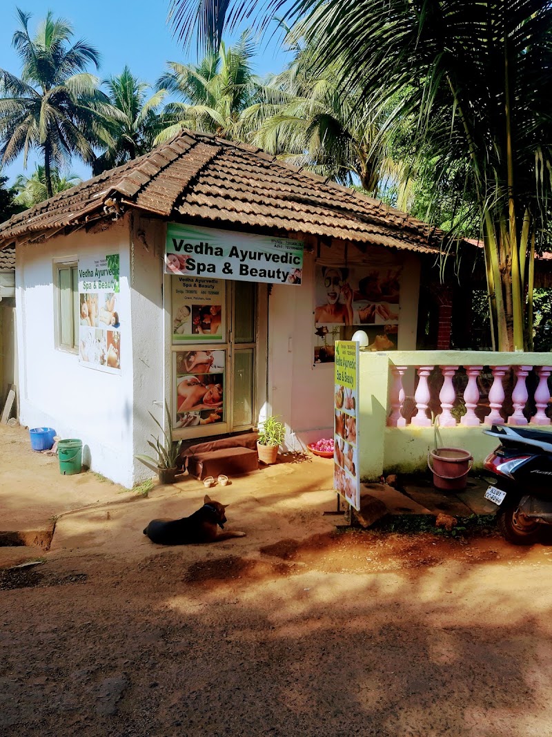 Vedha Ayurvedic spa & beauty - Vedha Ayurvedic spa & beauty classical restaurant, near German bakery, Mohanbagh, Orem, Palolem, Canacona, Goa 403702, India