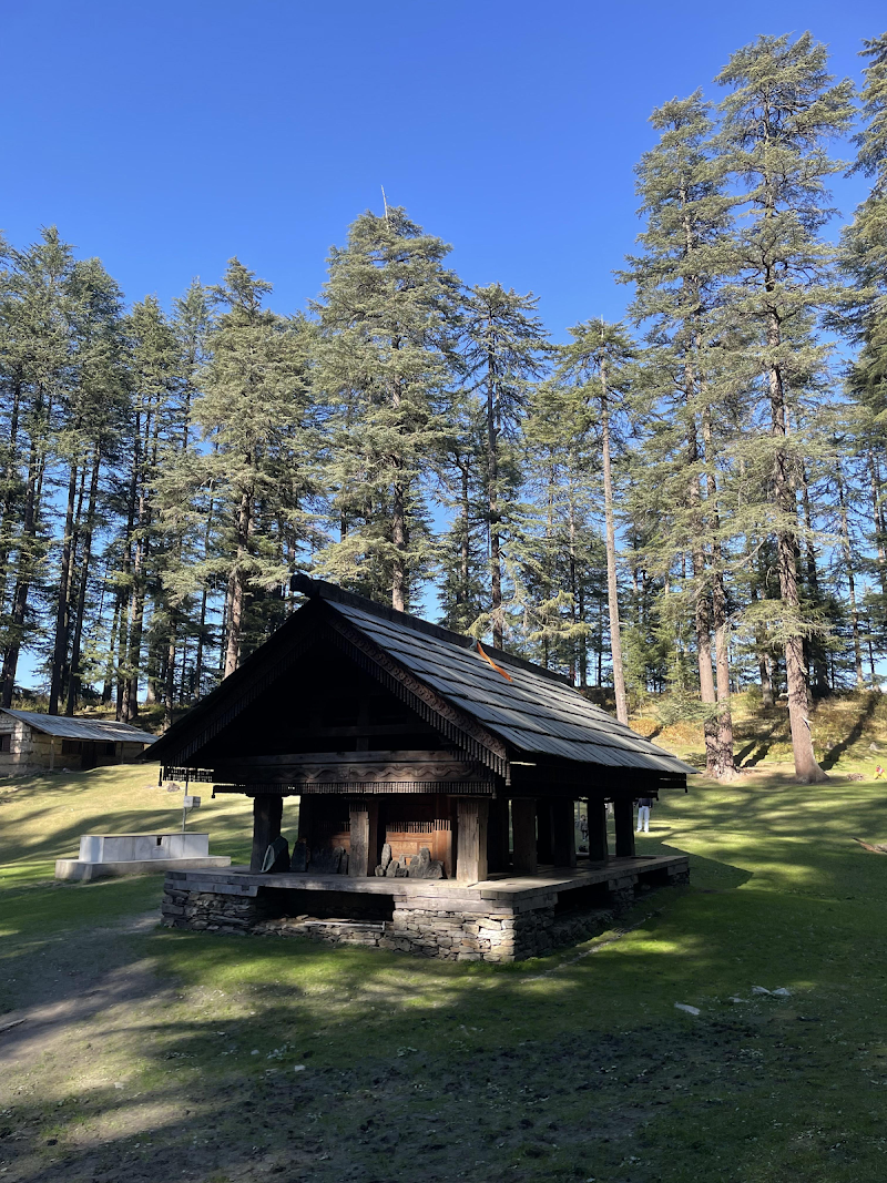 Jibhi Himachal Pradesh - Jibhi Himachal Pradesh H9R3+3PH, Kuthachi, Jibhi, Rashala, Himachal Pradesh 175123, India