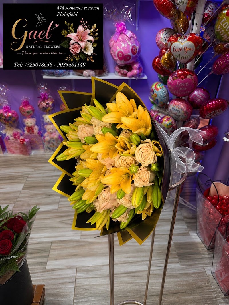 GAEL NATURAL FLOWERS - GAEL NATURAL FLOWERS 474 Somerset St, North Plainfield, NJ 07060, USA