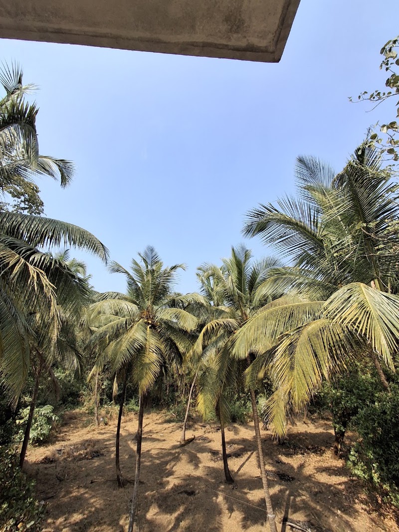 Sitai homestay - Sitai homestay Chivla, Malvan, Maharashtra 416606, India