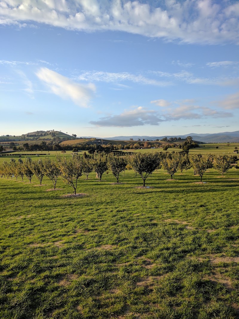 Yarra Valley Racing - Yarra Valley Racing, Armstrong Grove, Yarra Glen VIC 3775, Australia
