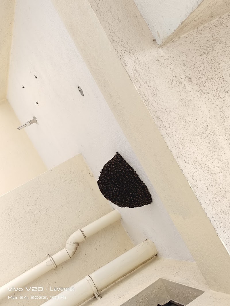 NAVIGATOR Pest Control Service Bangalore - NAVIGATOR Pest Control Service Bangalore, 2nd Floor, 1st cross, No. 17/11, Outer Ring Rd, opp. to Dr. Rajkumar Samadhi, opp. to Dr. Ambrish, Punya Bhoomi, Nandini Layout, Bengaluru, Karnataka 560096, India