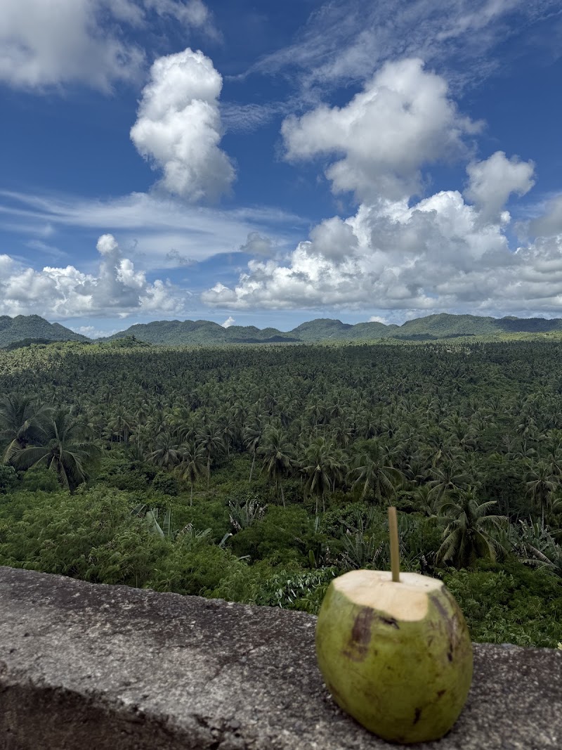 Coconut Road - Coconut Road, R383+RWW, Siargao Circumferential Rd, Pilar, Surigao del Norte, Philippines