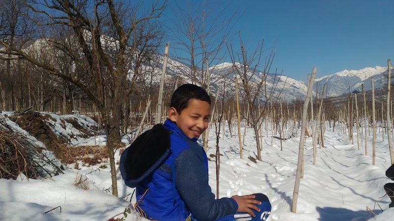 Garden Stay Shirar - Garden Stay Shirar, 348G+4Q7, Kullu, Himachal Pradesh 175128, India