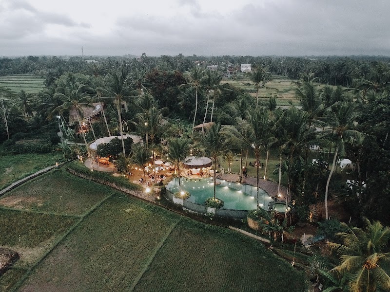 Kelapa Muda Ubud Pool Bar & Kitchen - Kelapa Muda Ubud Pool Bar & Kitchen, Jl. Gn. Sari, Peliatan, Kecamatan Ubud, Kabupaten Gianyar, Bali 80571, Indonesia
