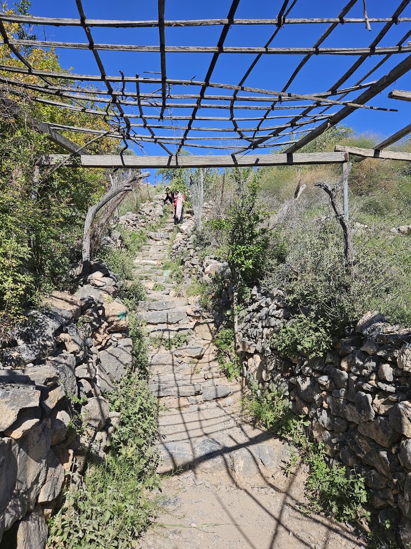 العقر - Alaqr. Al-aqur - العقر - Alaqr. Al-aqur, Unnamed Road, 3MC8+XG6, Saiq, Oman