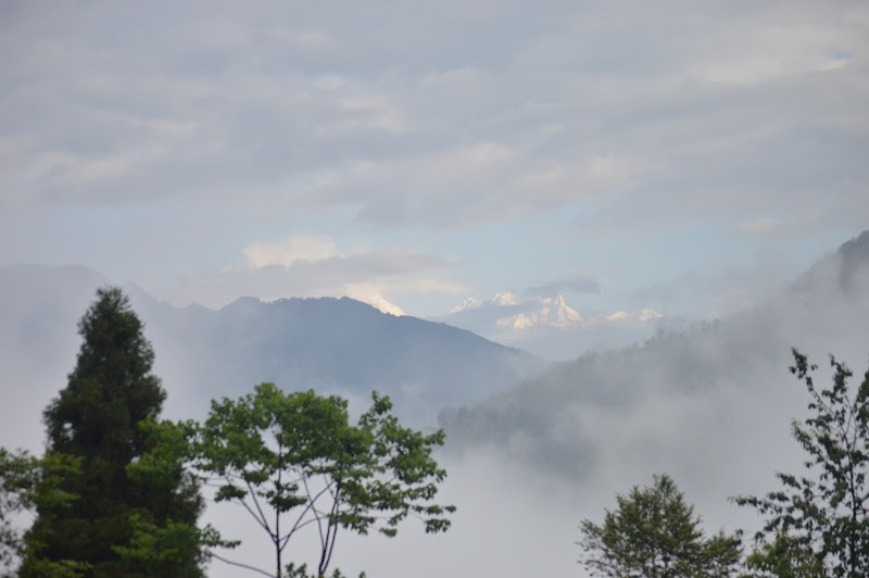 Malinggo Homestay - Malinggo Homestay Gangtok, Sikkim 737135, India