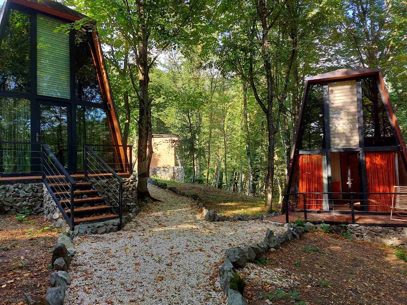 ეკო სოფელი ტყეში/Eco Village In The Forest