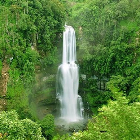 Waterfalls - Waterfalls 33Q5+HRC, Nullatanni, Munnar, Keralam 685612, India
