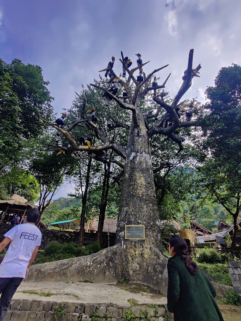 Kisama Heritage Village - Kisama Heritage Village, P.W.D. Colony, Kohima, Nagaland 797006, India