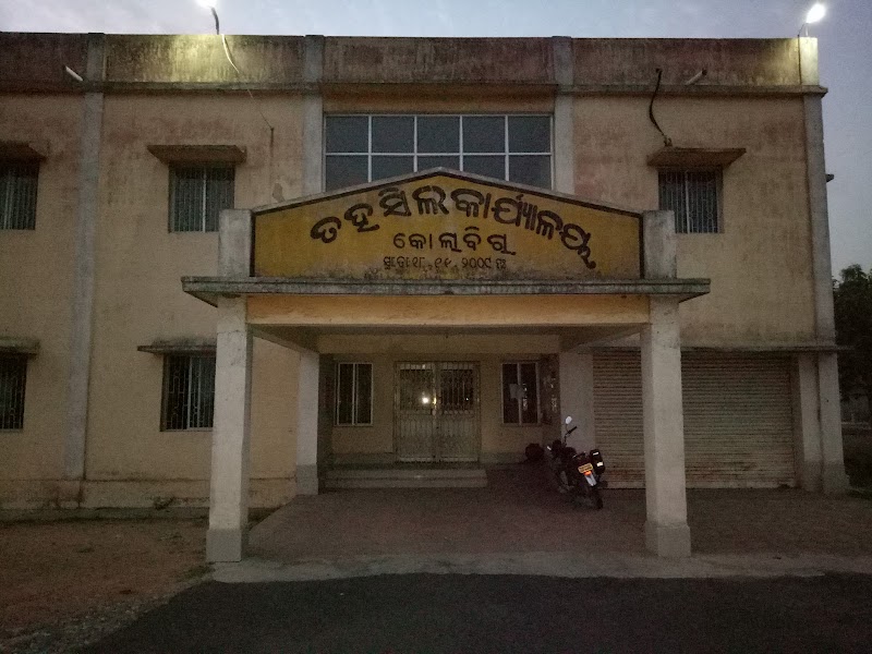 Tahasil Office Kolabira - Tahasil Office Kolabira Q5XG+976, Sambalpur - Kolabira Rd, Kolabira, Odisha 768213, India