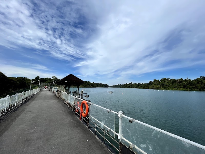 MacRitchie Reservoir - MacRitchie Reservoir, Singapore