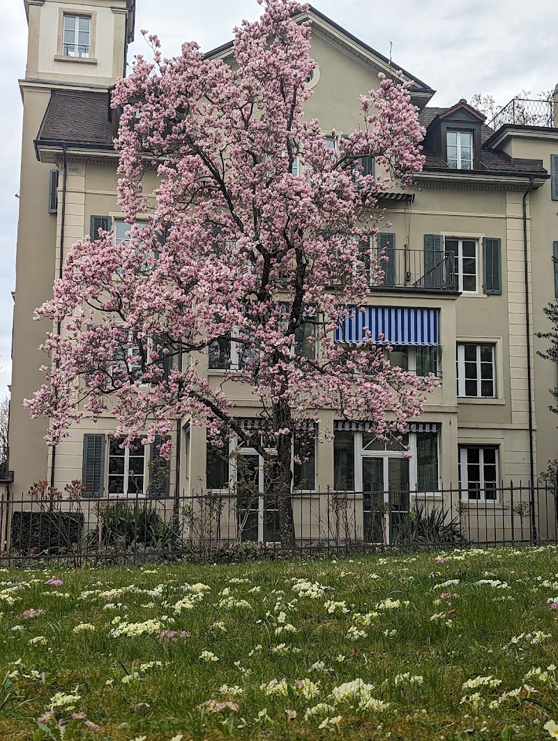 stattHotel