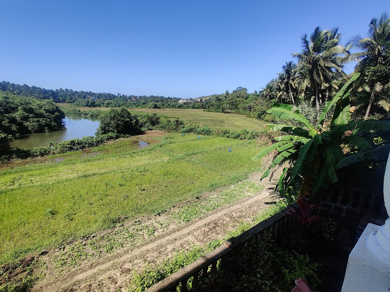 Crystal Serenity Boutique Resort - Crystal Serenity Boutique Resort, opp. Bank of India, Mandrem, Goa 403527, India