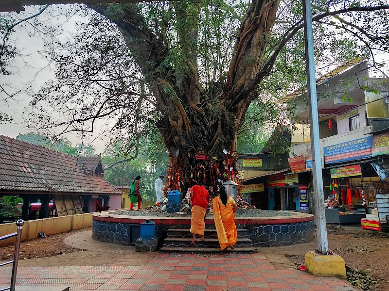 Chottanikkara Bhagavathy Temple - Chottanikkara Bhagavathy Temple, Chottanikkara, Kochi, Kerala 682312, India