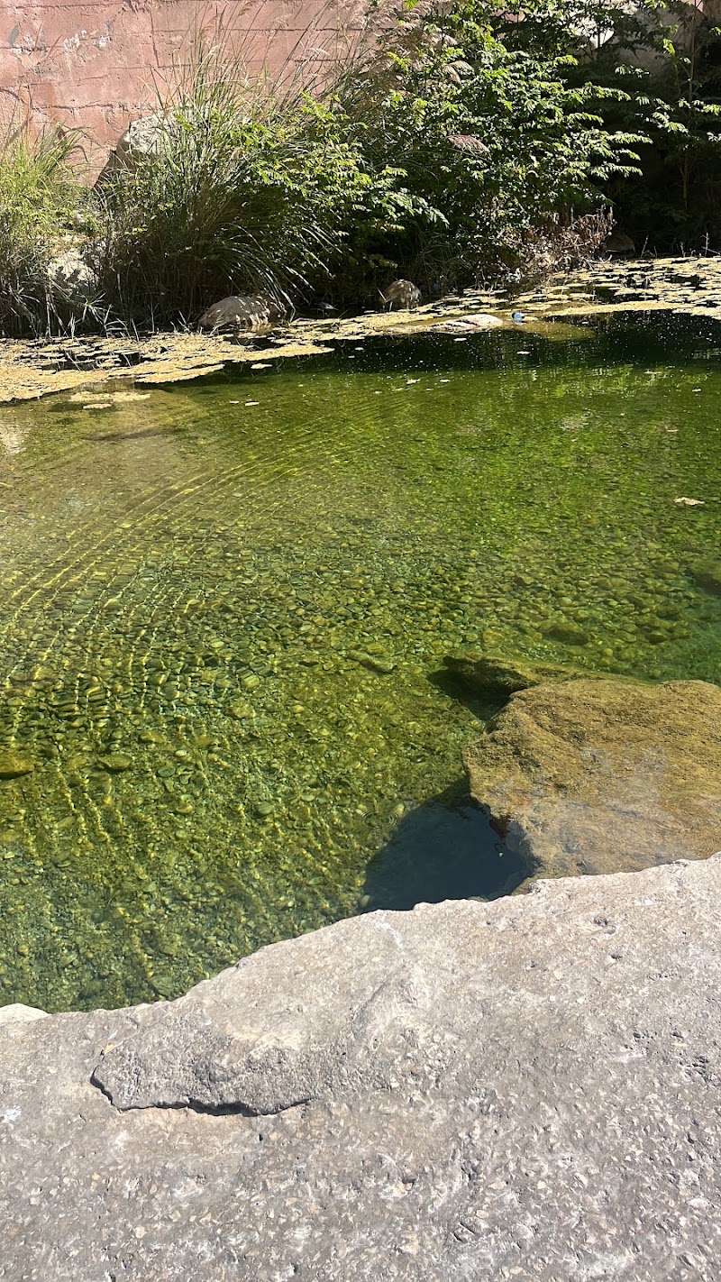 Wadi Tiwi - Wadi Tiwi, Oman