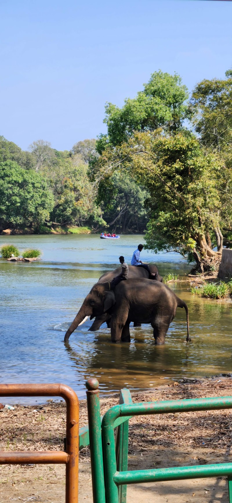 Jungle Lodges and Resorts - Dubare - Jungle Lodges and Resorts - Dubare Nanjrayapatna, Kushalnagar, Karnataka 571107, India