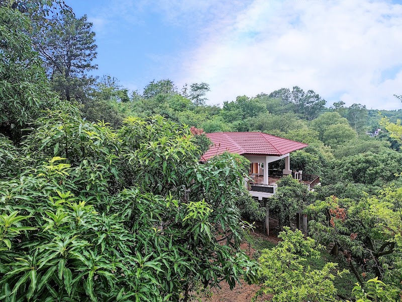 HillTop Orchard - HillTop Orchard, Mandi - Pathankot Rd, Raja Ka Bagh, Basa, Himachal Pradesh 176201, India