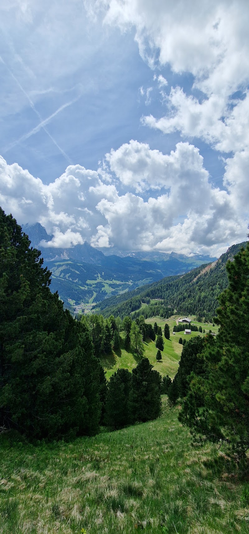 Col Raiser - Col Raiser Str. Ciaulonch, 22, 39047 Santa Cristina Valgardena BZ, Italy