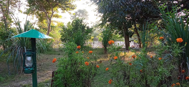 Corbett Nature Retreat - Corbett Nature Retreat, Kyari Rd, Bandobasti, Ramnagar, Kiari Kham, Uttarakhand 244715, India