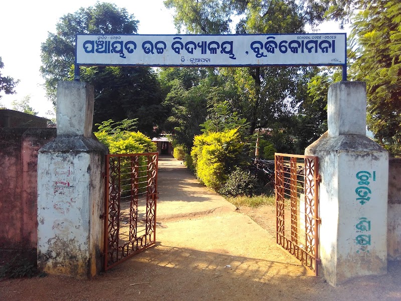 P.H.SCHOOL ,BUDDHIKOMNA - P.H.SCHOOL ,BUDDHIKOMNA, HMRC+2X8, Pandarapathar, Odisha 766106, India