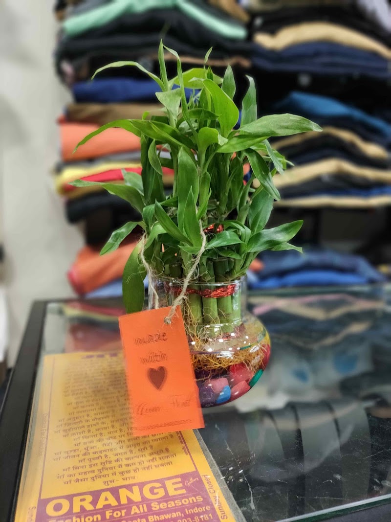 GREEN NEST - GREEN NEST 23, Kailash Park, near Geeta bhawan, Kailash Park Colony, Indore, Madhya Pradesh 452001, India