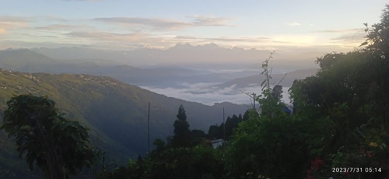 Dumi khim (homestay) - Dumi khim (homestay) Bhutia Busty, Dawaipani, Lebong and Mineral Spring Tea Garden, West Bengal 734105, India