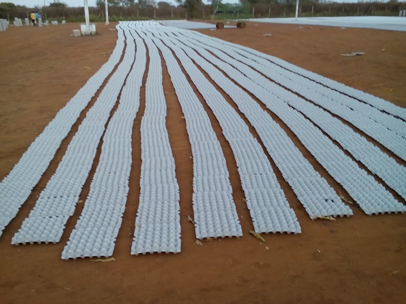 Venkatrama Poultries Limited HO office - Venkatrama Poultries Limited HO office, Raipur, Chhattisgarh 493114, India