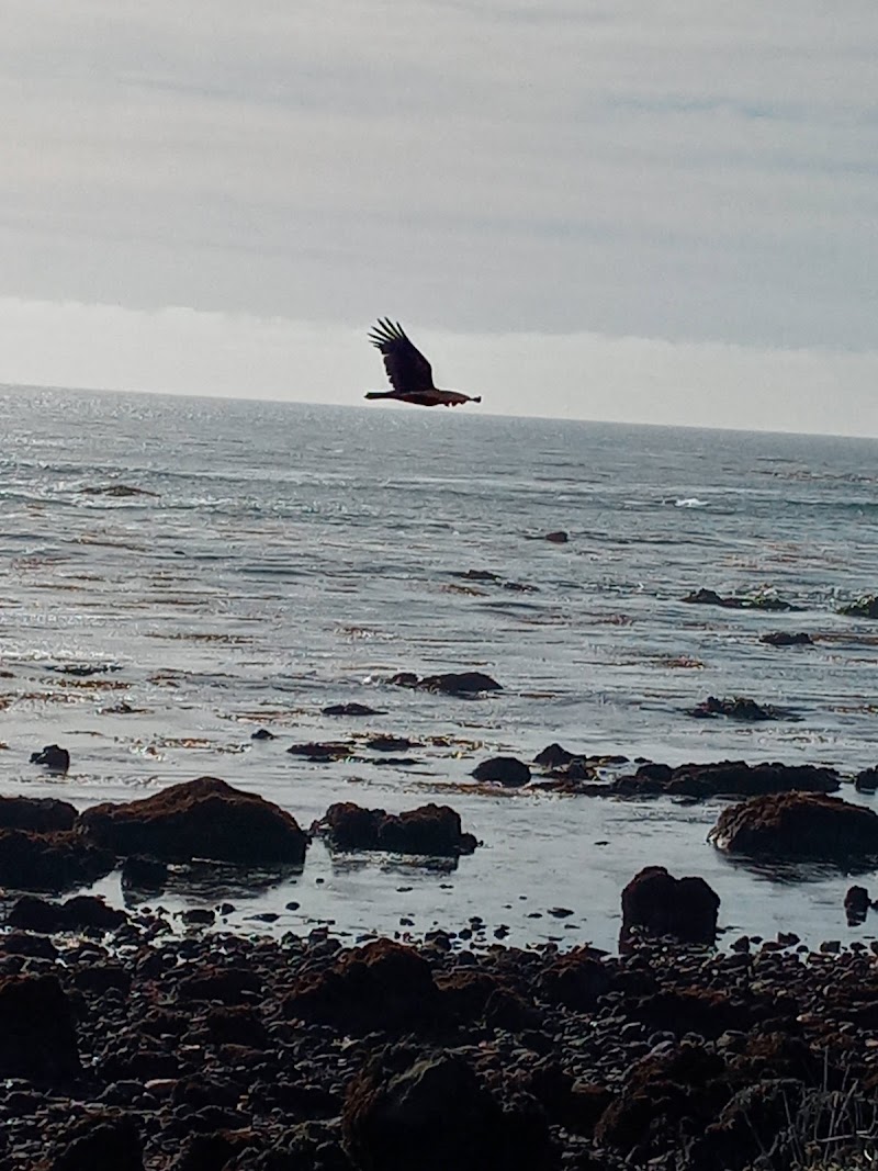 Vista Point - Vista Point San Simeon, CA 93452, USA