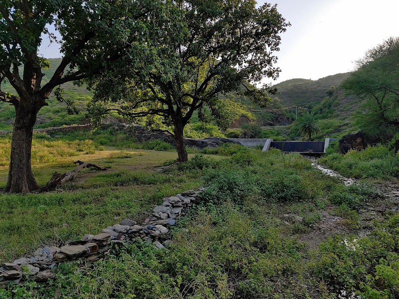 Mahua Boutique Homestay - Mahua Boutique Homestay Beeda Road, Nadra, Nai, Udaipur, Rajasthan 313031, India