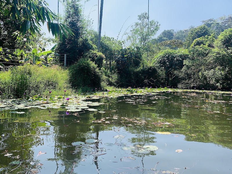 Karlad Lake - Karlad Lake Karlad Lake, Keralam 673575