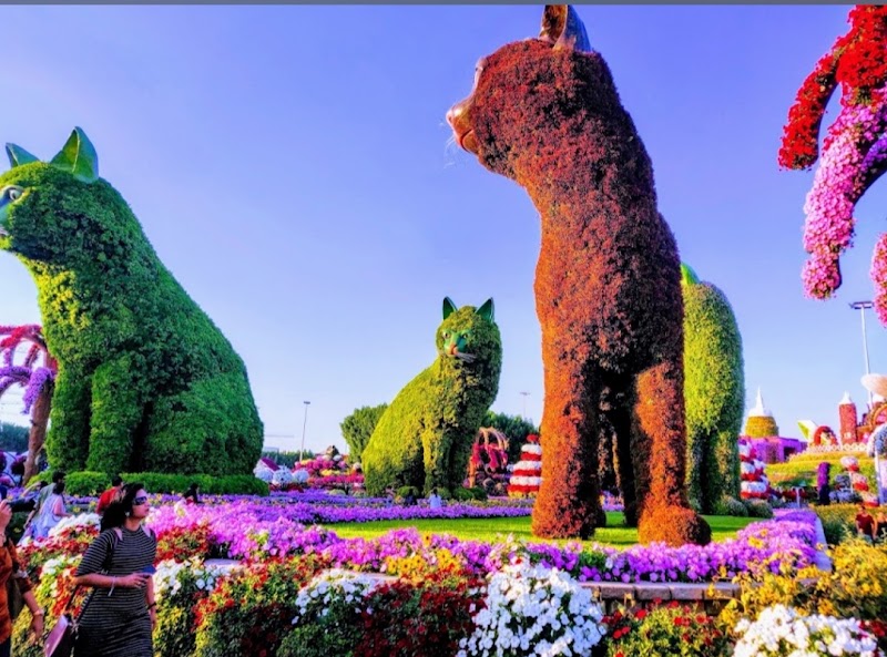 Dubai Miracle Garden - Dubai Miracle Garden Street 3 - Al Barsha South Third - Al Barsha South - Dubai - United Arab Emirates